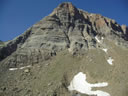 PICO COLLARADA