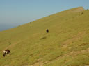CABALLOS POR LA CRUZ