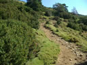 SUBIENDO