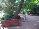 FUENTE EN EL PARQUE