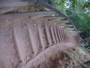 ESCALINATA