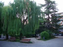 PLAZA CORTES DE ARAG&Oacute;N