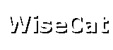 wisecat[1].gif (704 bytes)