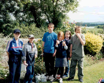 Planting trees Photo