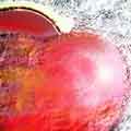 Photo - Stony Hearts Valentine Card