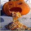 Pumpkin!