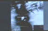 82.jpg (8979 bytes)