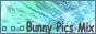 Bunny Pics Mix 