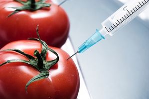Green Biotech