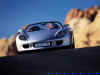 porsche_carrera_gt_004.jpg (63455 bytes)