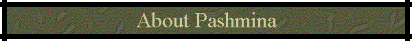About Pashmina