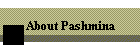 About Pashmina