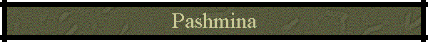 Pashmina