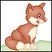 transparent background