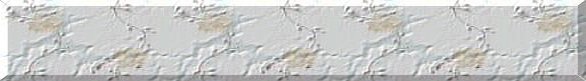 Top Banner Bar