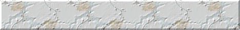 Bottom Page Banner Bar