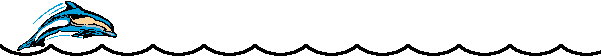 Objetivo