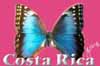 184-Morpho.jpg