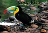23-Tucan.jpg