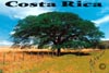 28-Arbol.jpg