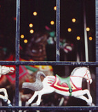 [fence around carrousel]