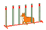 Slalon_atv.gif (3275 bytes)
