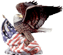 eagle_flag.gif (16375 bytes)
