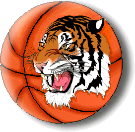 Taunton Tigers