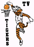 Thames Valley Tigers