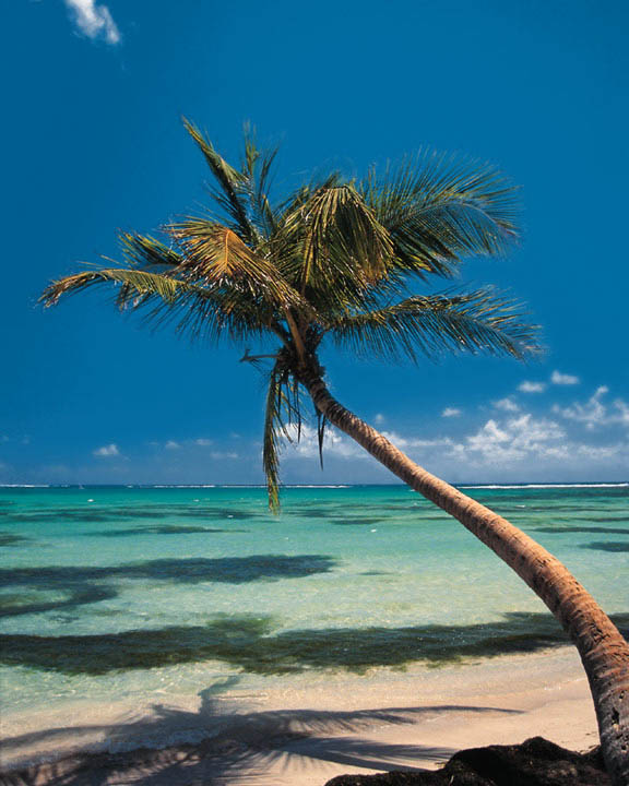 beach.jpg (1125 bytes)