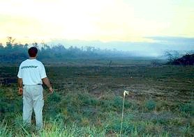 Zona de selva desmontada