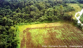 Foto: Emiliano Ezcurra - Greenpeace