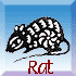 Rat