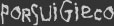 PORSUIGIECO