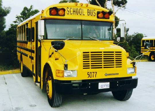 24-3 bus