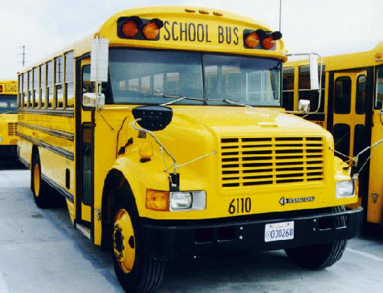 48 passenger bus