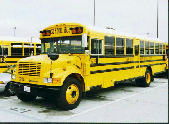 66 passenger bus