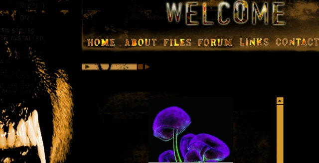 Flash Interactive Sound & Graphic:Feel The Rich Visuals