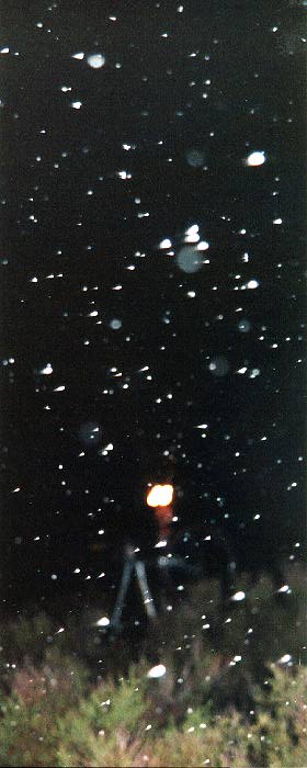 Mark in the blizzard