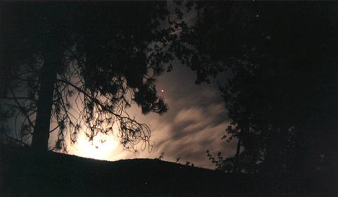 Night Sky View