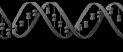 dna_black.gif (13663 bytes)