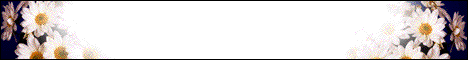 hesbanr5.gif (9363 bytes)