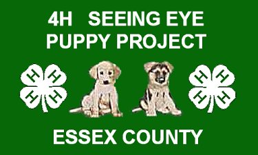 4H Seeing Eye
Puppy Project
Essex County