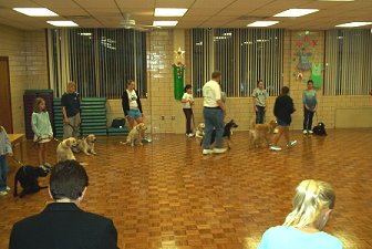Puppy Sirius and a classmate
walking around the outer circle