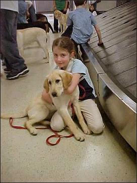 A future Seeing Eye Guide Dog with
her handler in the luggage area