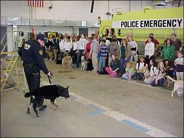 K-9 Hero and his handler
showing how Hero works