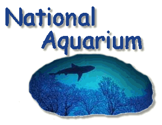 click to visit the National Aquarium online