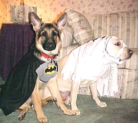 Sirius as Batdog and
his friend, Dutch, as Ghostdog