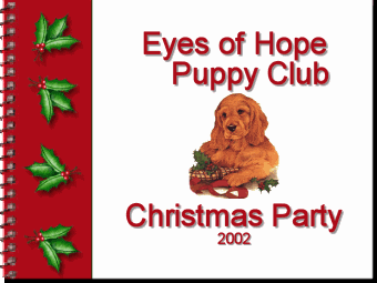 Eyes of Hope Christmas Scrapbook