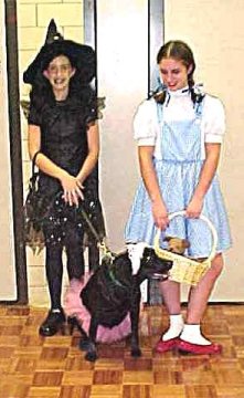 The Wicked Witch, Dorothy and Toto
seem to be asking 'Are we still in Kansas?'